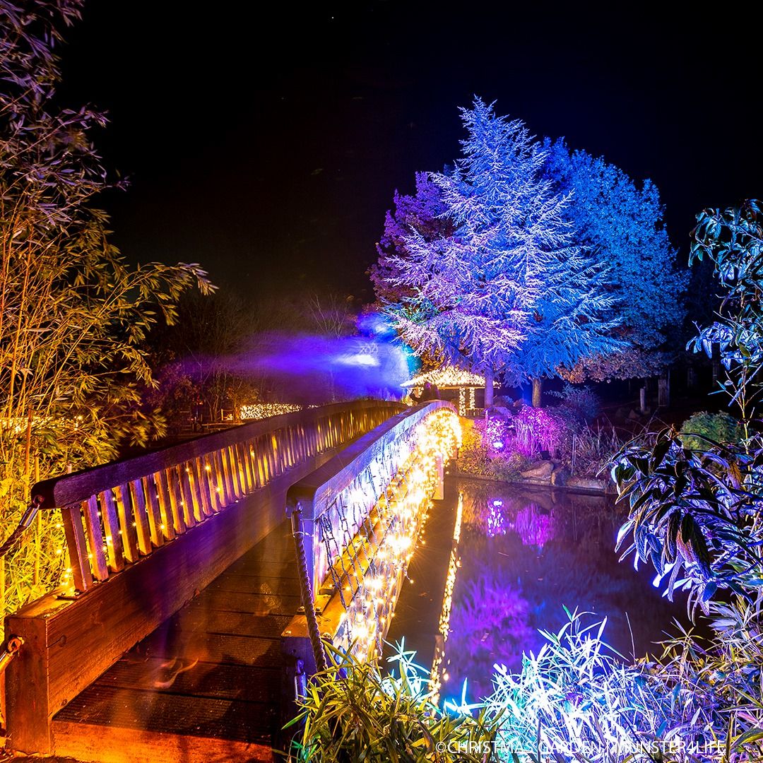 Las espectaculares imágenes de las 'Luces del Botánico', el nuevo espectáculo de la Navidad en Málaga