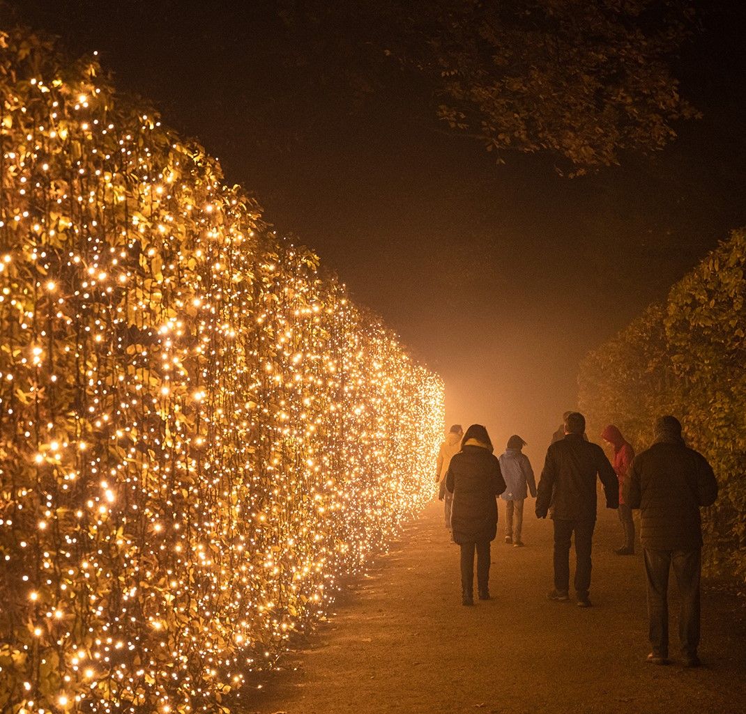 'Luces del Botánico' 5