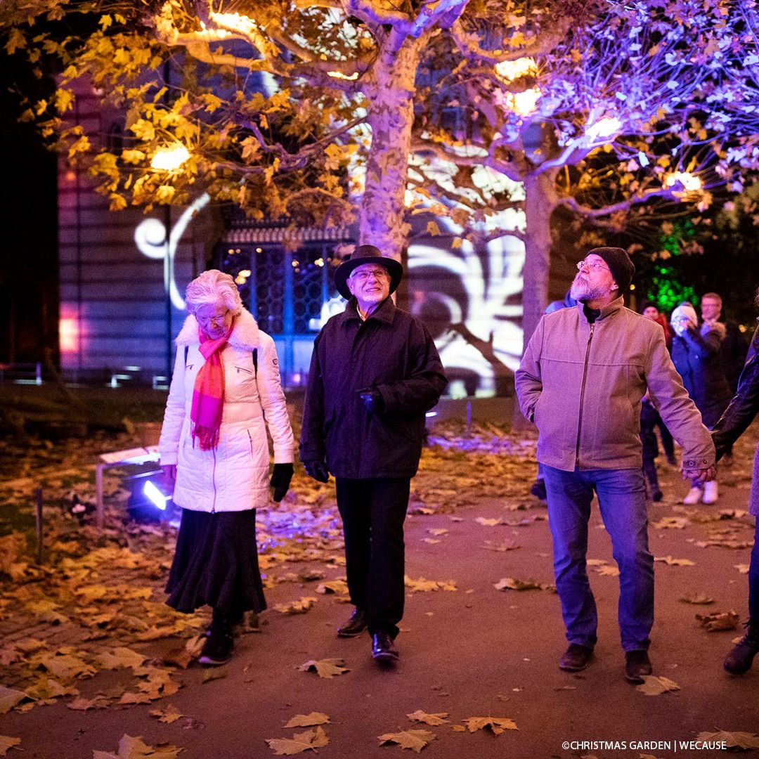 'Luces del Botánico' 10