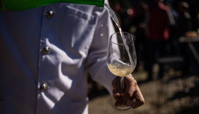 MOSTO ECOLOGICO TIO PEPE 5