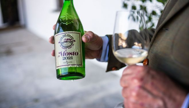 MOSTO ECOLOGICO TIO PEPE 16