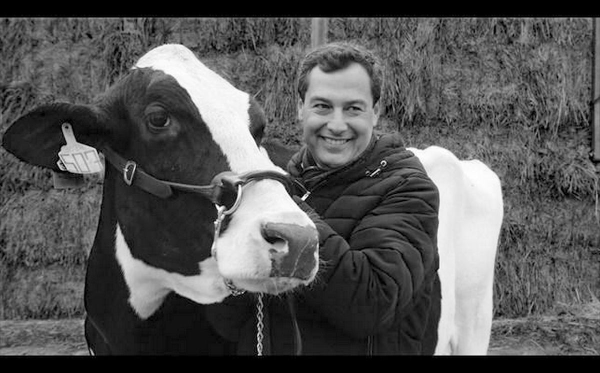 Juan Manuel Moreno Bonilla con una vaca durante la anterior campaña. Juan Manuel Moreno Bonilla con una vaca durante la anterior campaña.