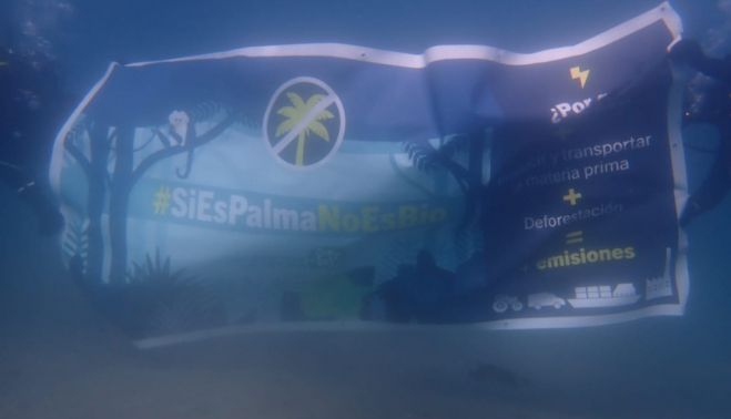 Una imagen de la protesta submarina.