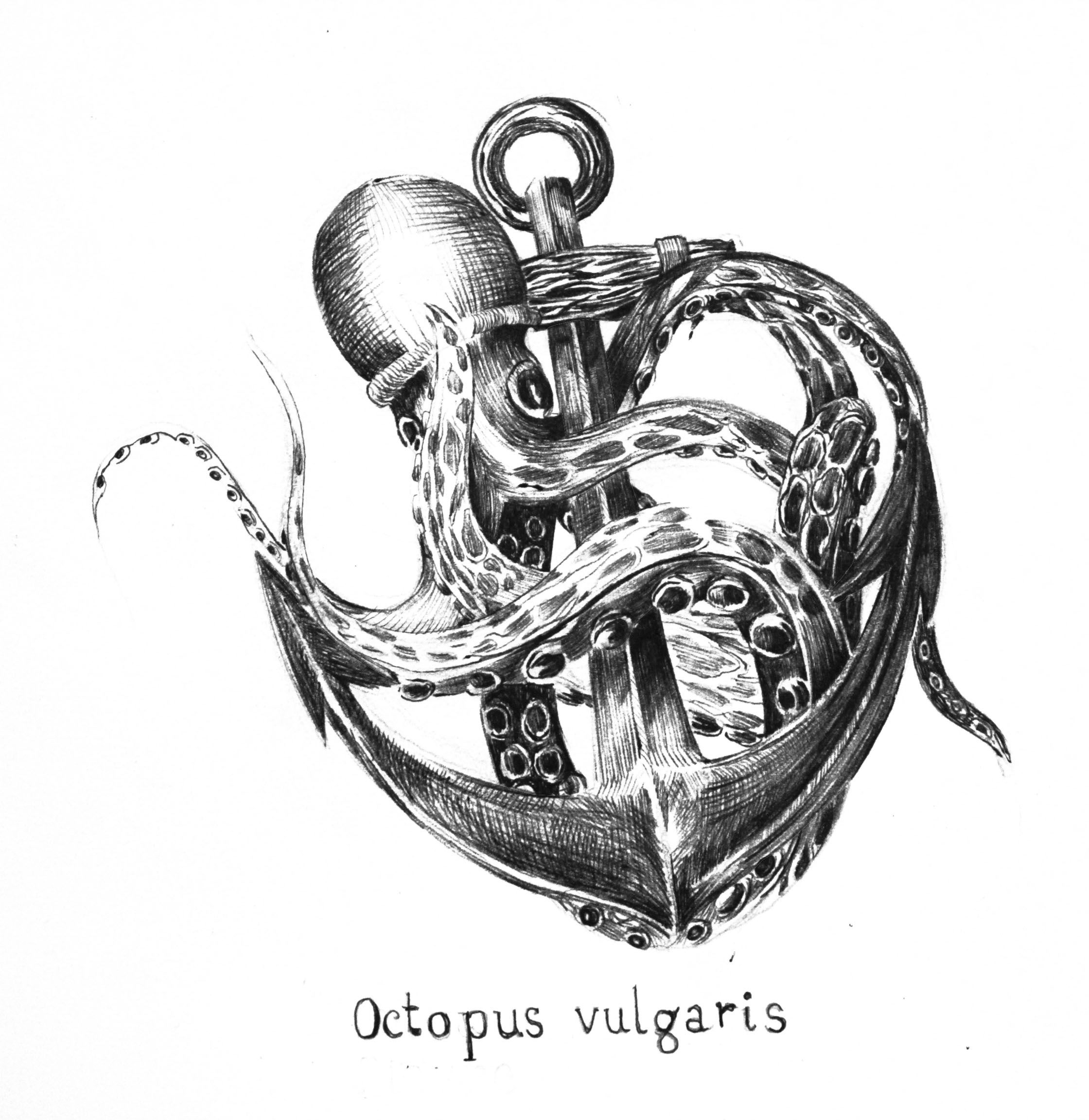 Octopus, de Celia Moro.  CEDIDA