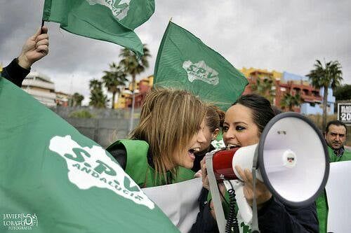 Vigilantes de seguridad en una imagen reciente. S.P.V.