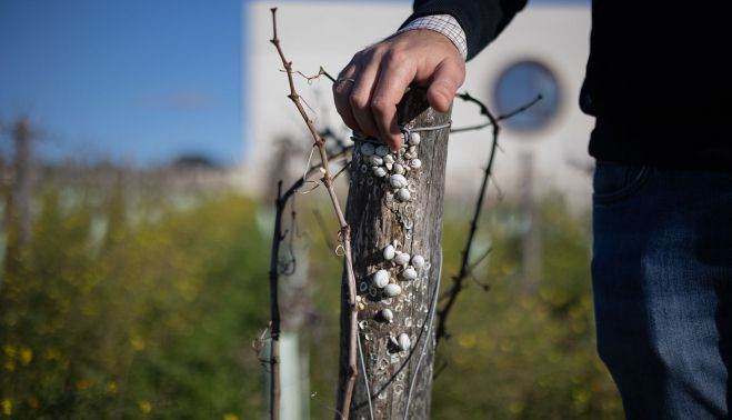 BODEGAS PONIENTE 9