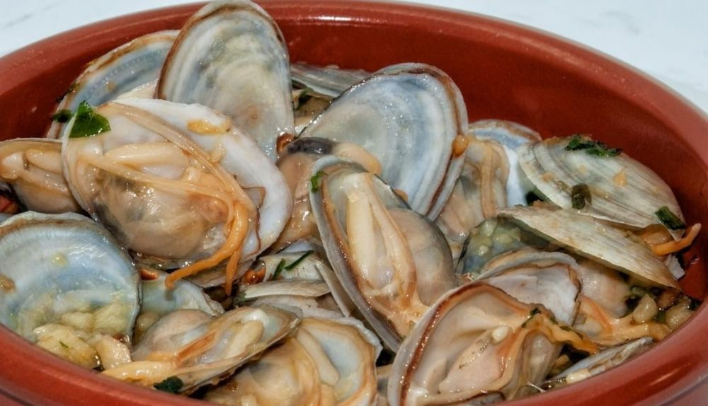 Almejas de la Venta Las Vargas