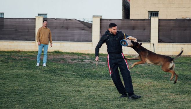 BORJA VILLANUEVA ADIESTRADOR DE PERROS 7