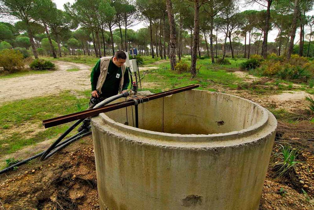 Uno de los pozos ilegales que se han clausurado durante estos años en Doñana. Uno de los pozos ilegales que se han clausurado durante estos años en Doñana.