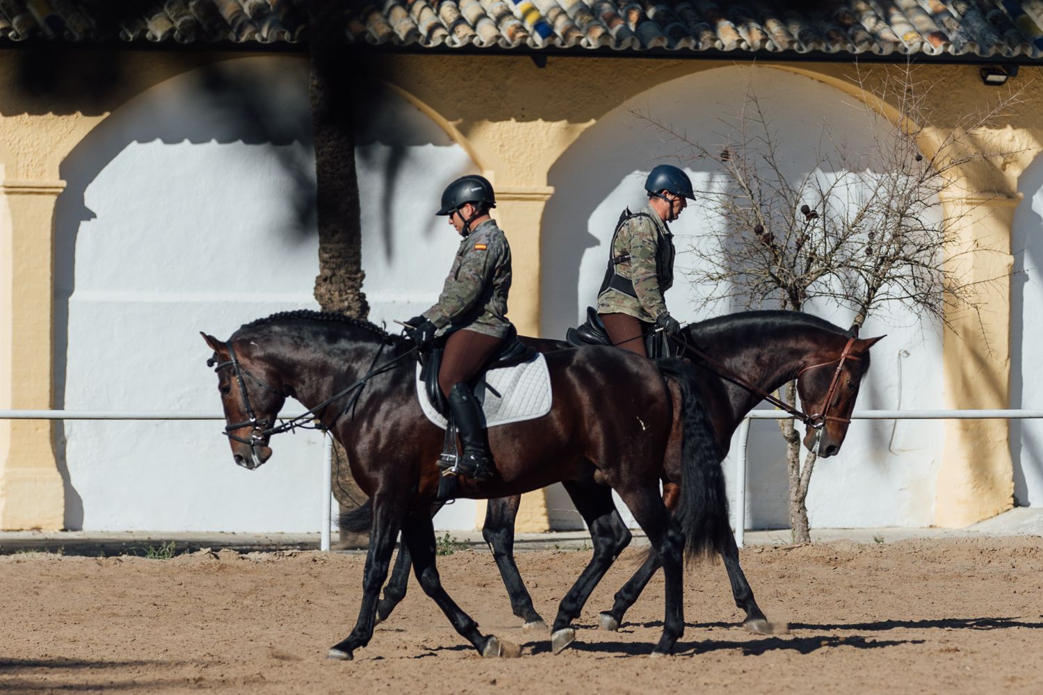 Entrenamiento de potros en el cortijo de Garrapilos.