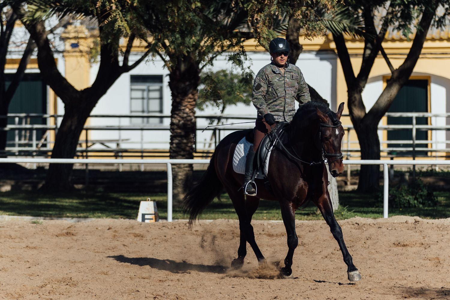 Un jinete montado en uno de los caballos del centro.