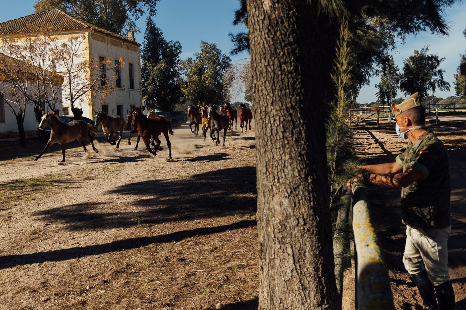 Paso de los potros en el cortijo de Garrapilos.