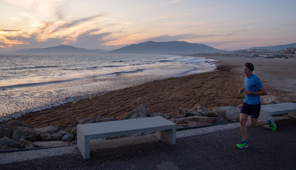 Algas Tarifa0004
