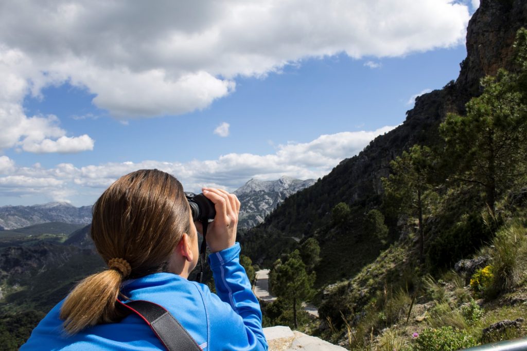 sierra_de_grazalema_ornitologia_0017.jpg
