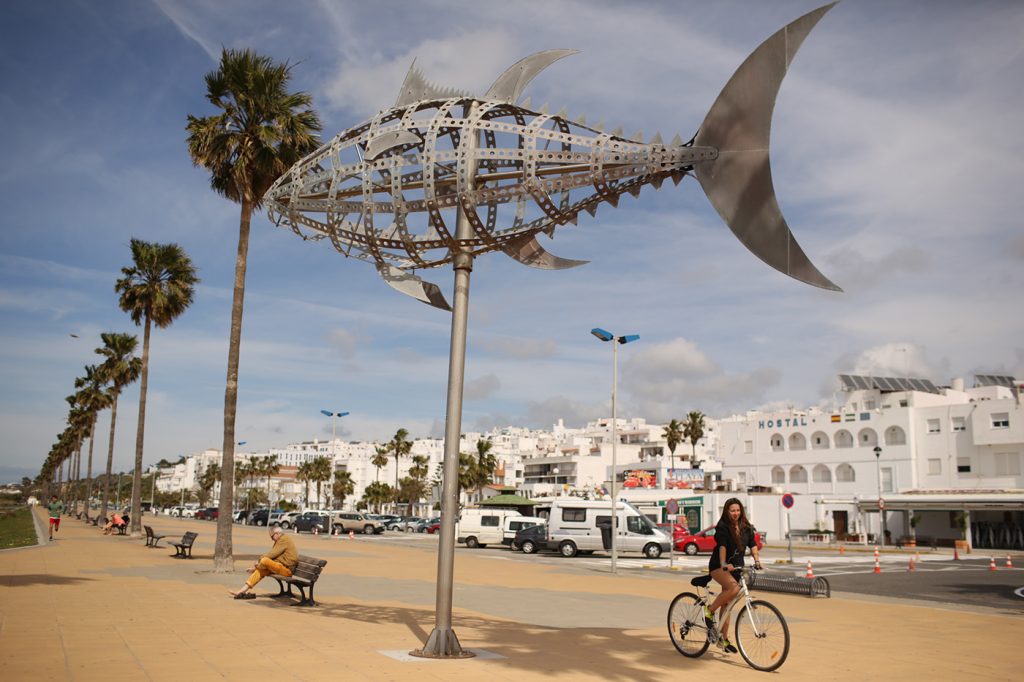 conil_de_la_frontera0046.jpg